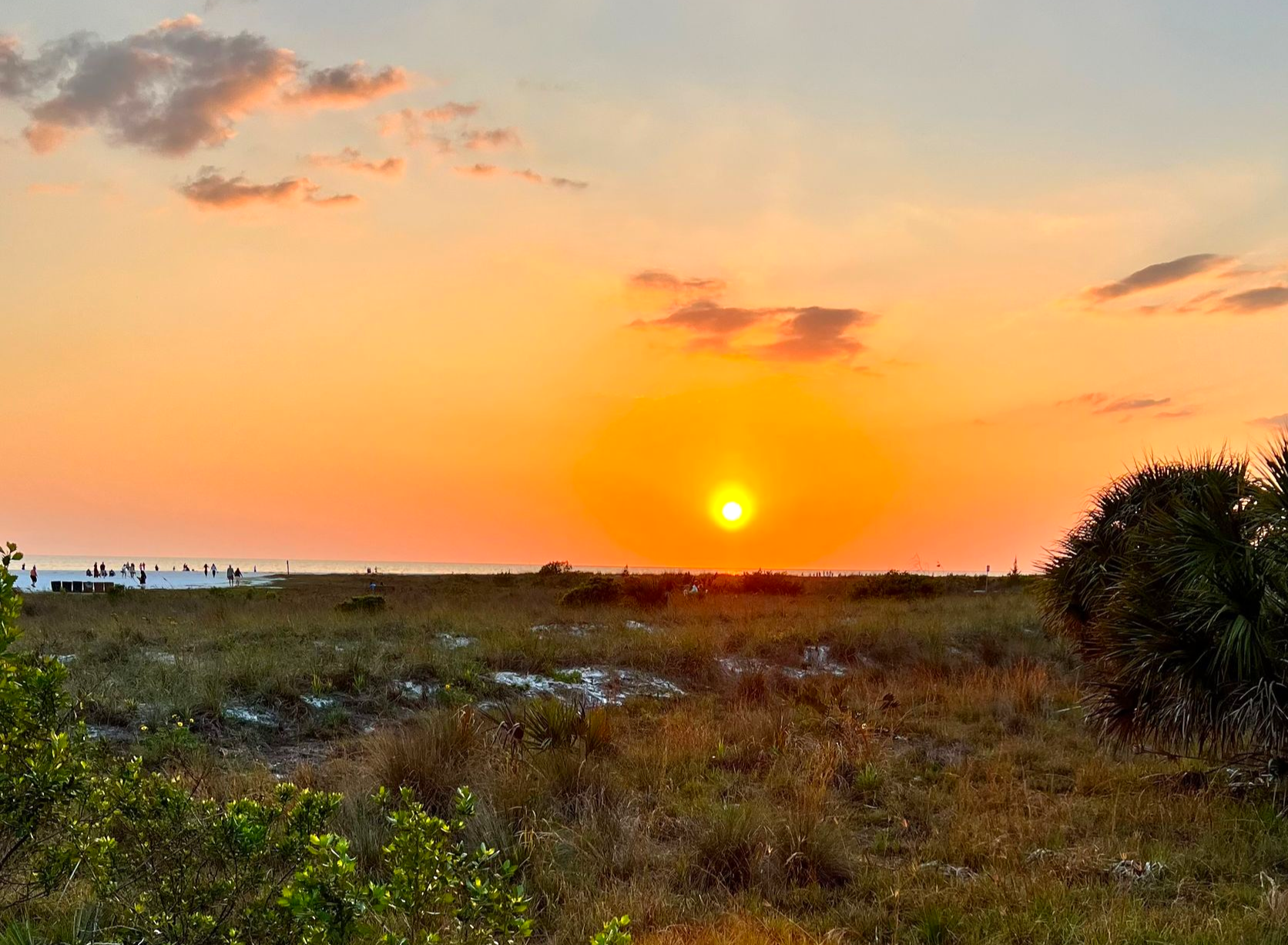 Sunset over a beach with golden-orange sky. Grassy field in the foreground, silhouettes of people.
