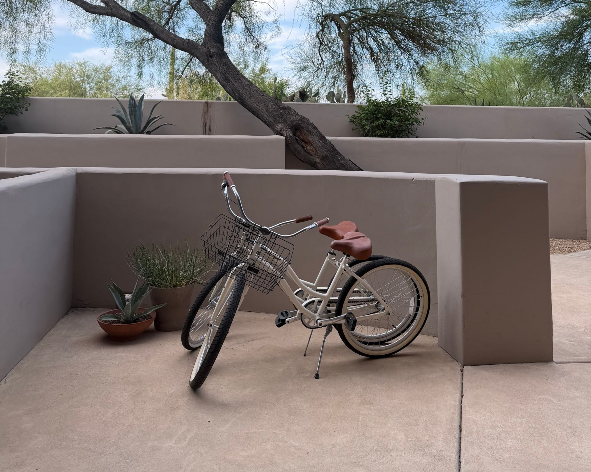 Bicycle leaning against a low wall in a desert courtyard with a tree in the background