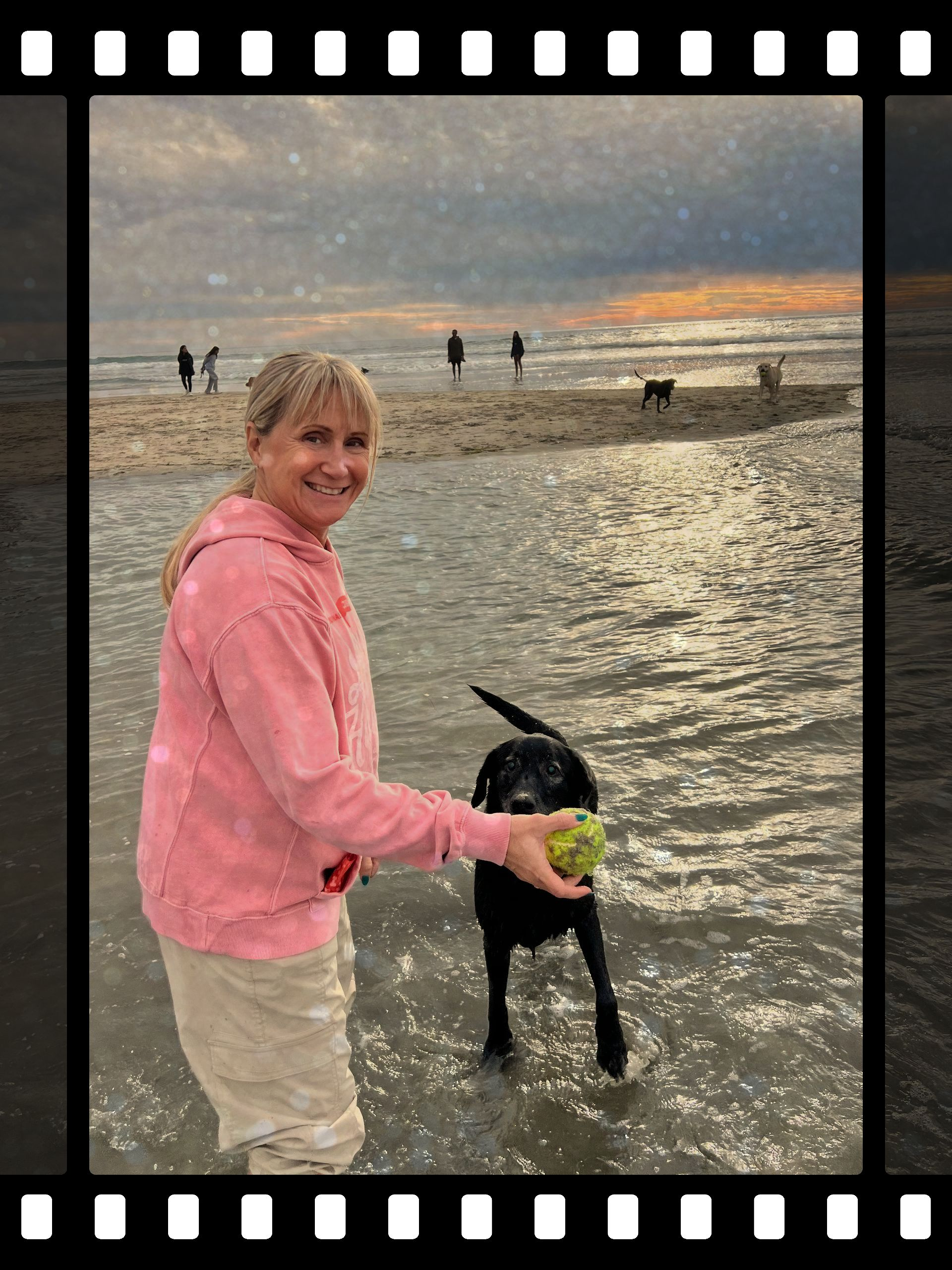 Woman in pink sweatshirt playing fetch with a black dog at the beach; other people and dogs in the background.