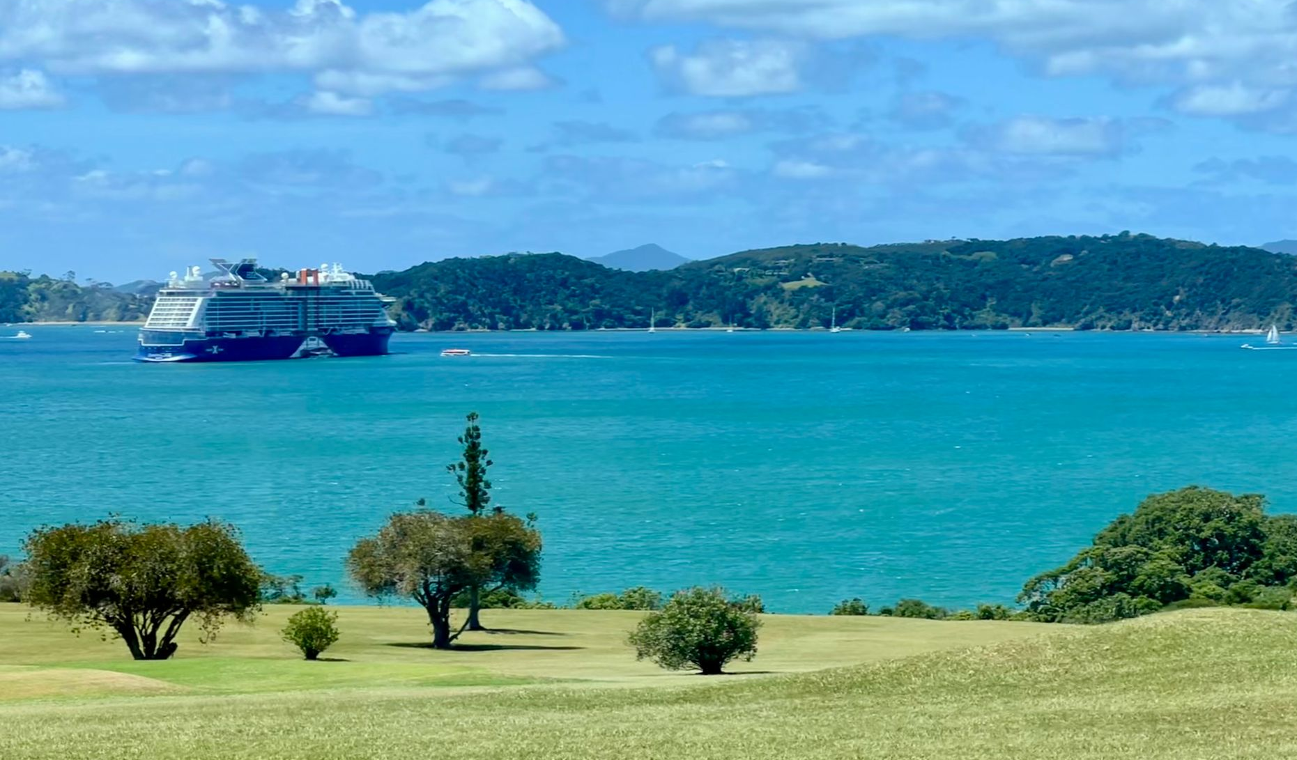 Cruise sails across turquoise water, with green hills and trees in the foreground and a forested island in the background.