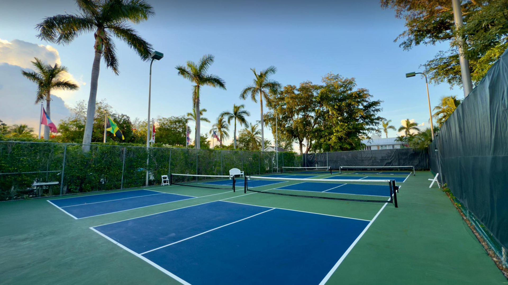 Outdoor pickleball court with blue and green surface, net, and palm trees in the background