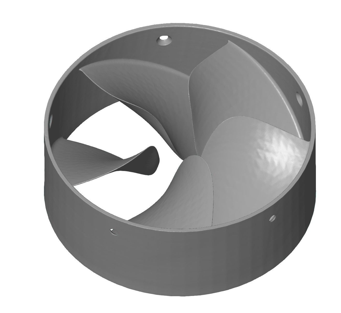 Optisch gemeten polygonenmodel van de schoepgeometrie