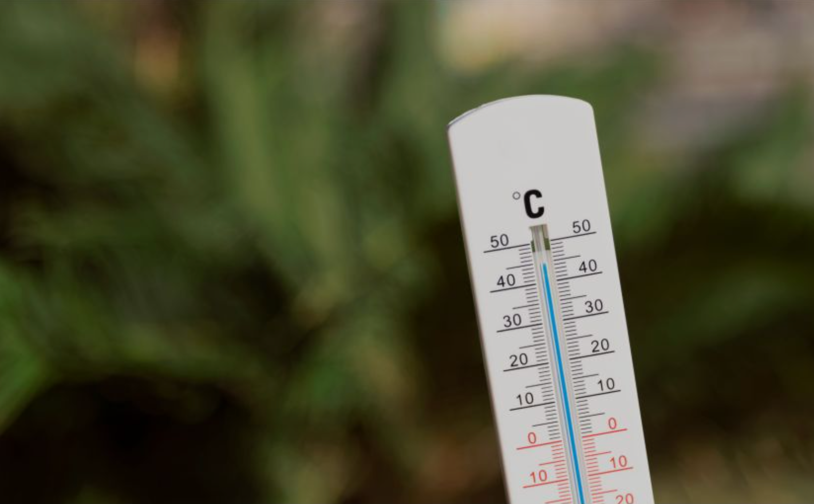 Close-up of a Celsius thermometer against a blurred green background.