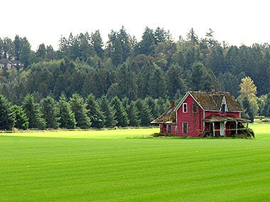 Red farmhouse beside a green field with a forest in the background