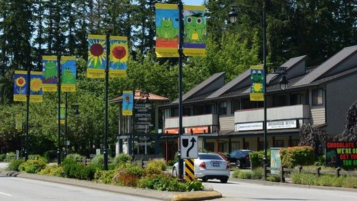Tree-lined street with colorful flags, parked cars, and shops under bright daylight