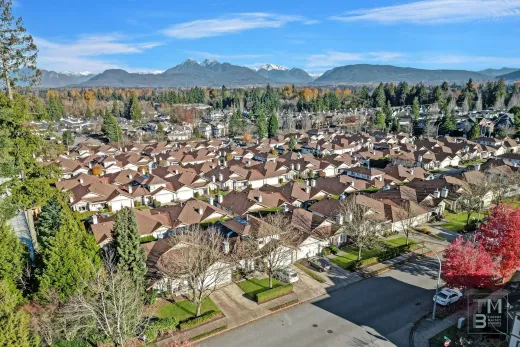Suburban neighborhood with rows of houses, trees, and distant mountains under a clear blue sky