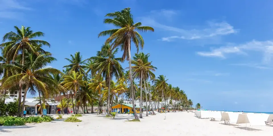Playa en San Andrés con palmeras, plan familiar cerca del Hotel Bahía Sardina y la zona de Spratt Bight.