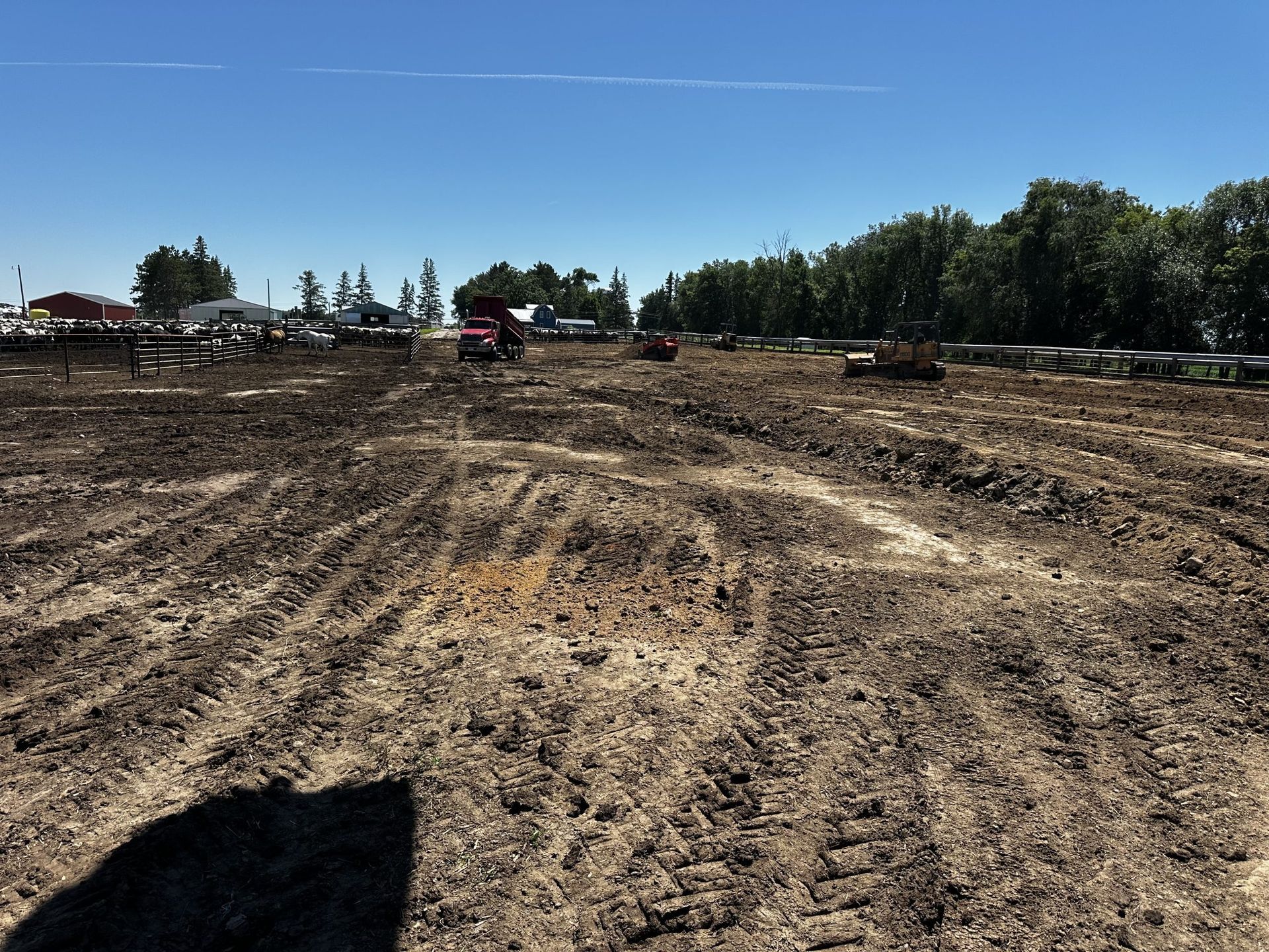 Mud-filled dirt lot under a clear blue sky, with trees and parked vehicles in the distance.