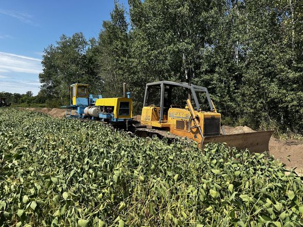 Yellow excavator clearing a field of green crops, with a blue machine in the background under a clear sky