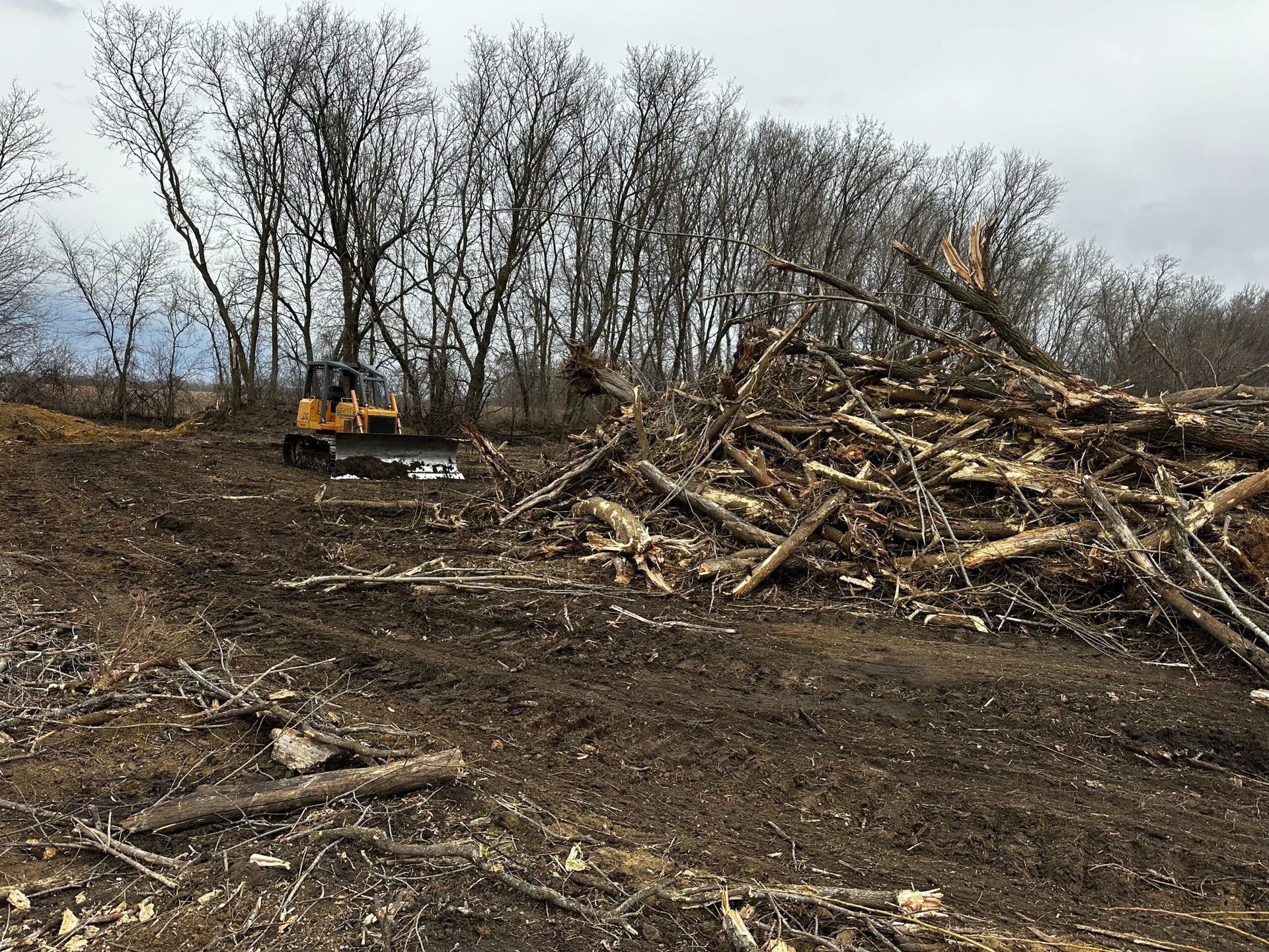 Yellow excavator beside a large pile of cut logs in a muddy, cleared woodland area