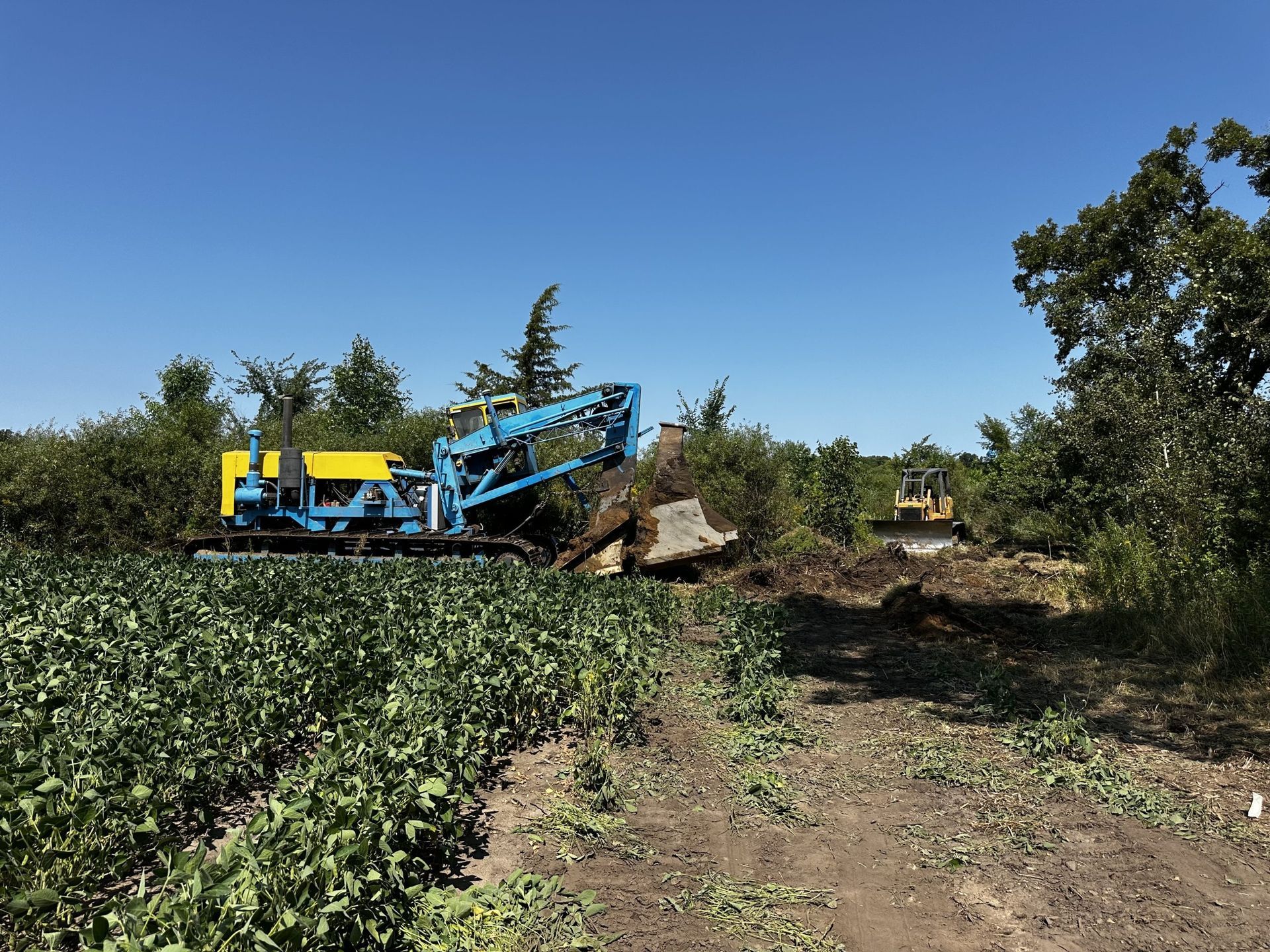 Blue farm machine harvesting crops in a field under a clear sky