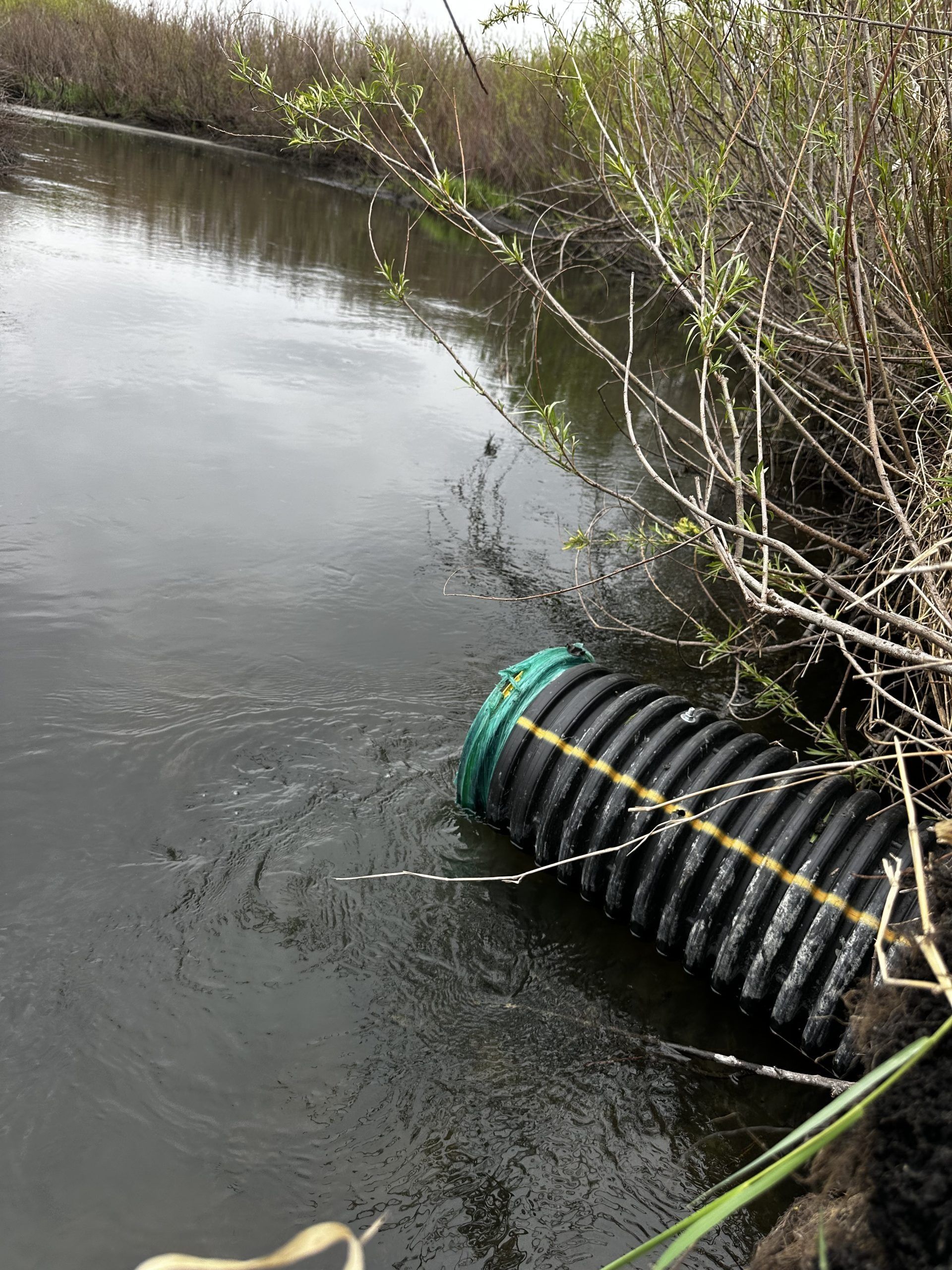 Black corrugated pipe draining into a calm river beside leafless shrubs