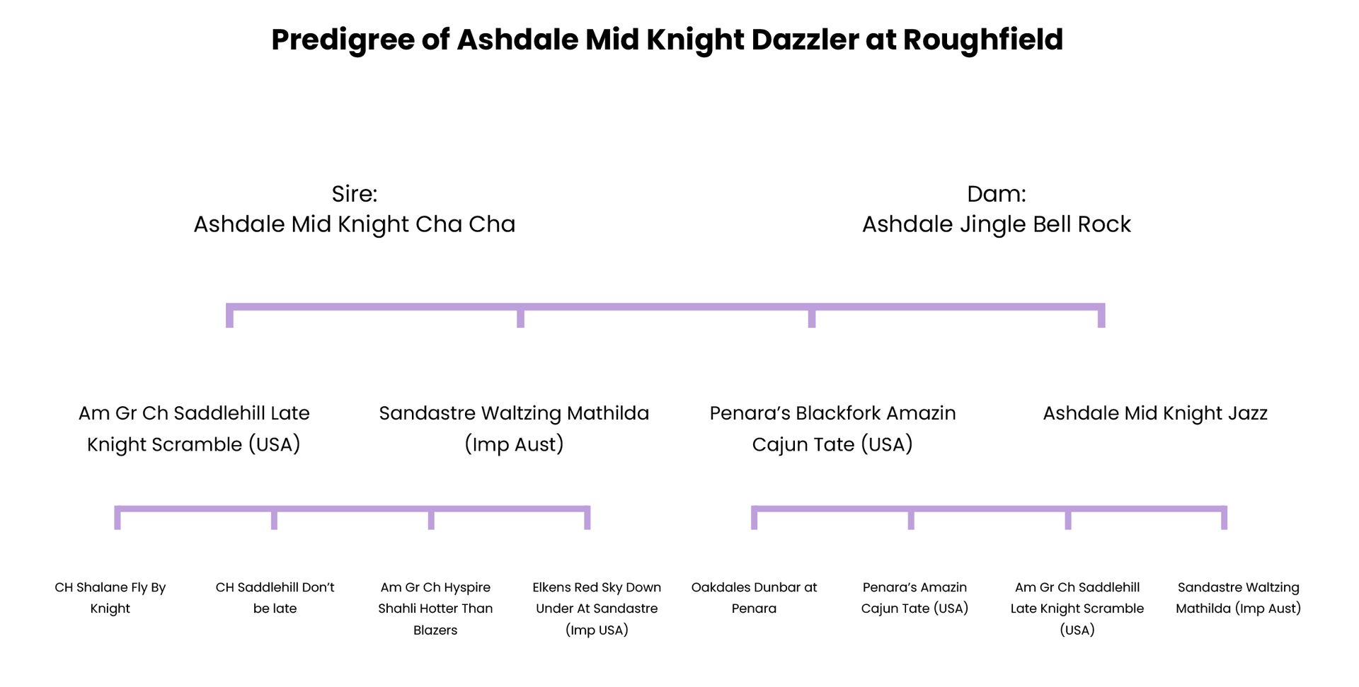 A diagram of the pedigree of Ashdale Mid Knight.