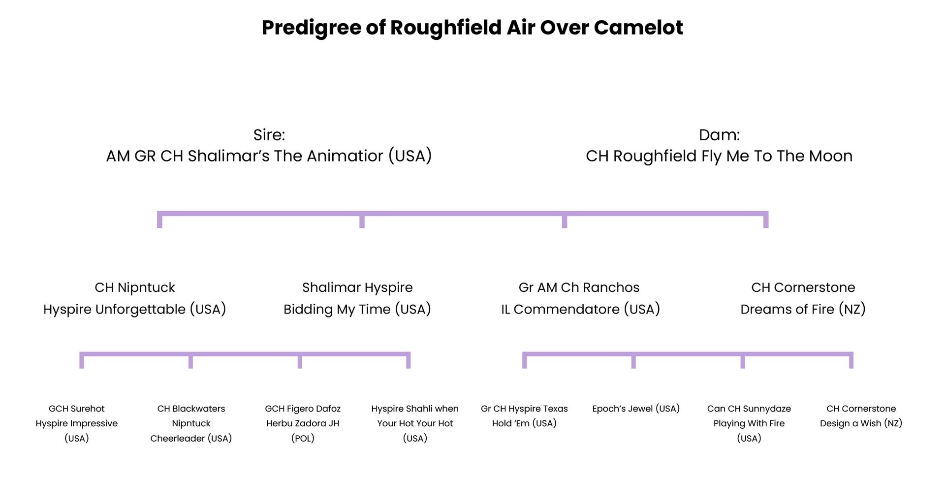 A diagram showing the pedigree of Roughfield Air Over Comelot.