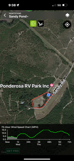 Camp site