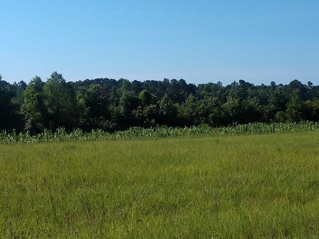 Nature's Beauty at Ponderosa RV Park