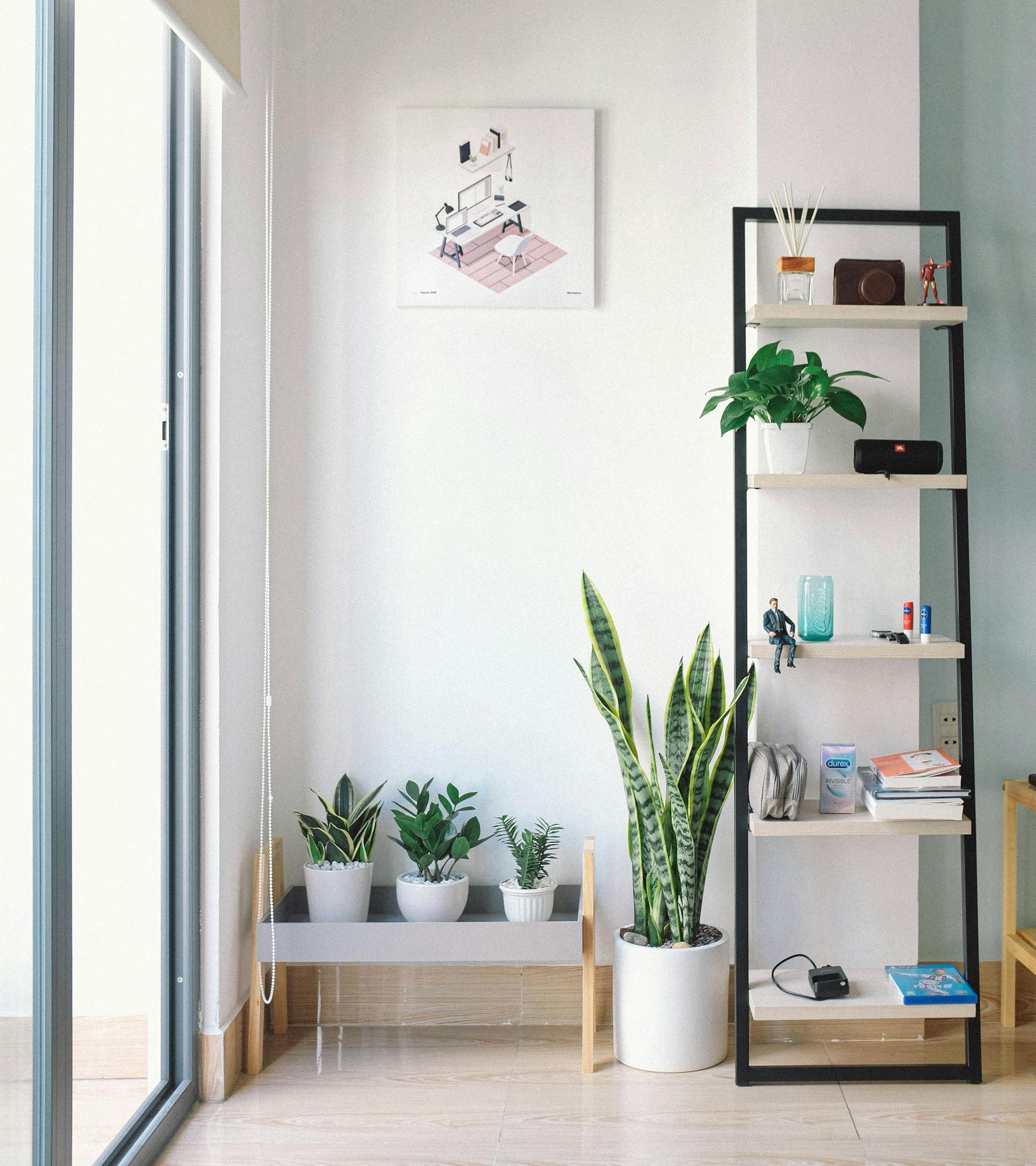 Bright room with potted plants, decorative shelf, artwork, and large window.