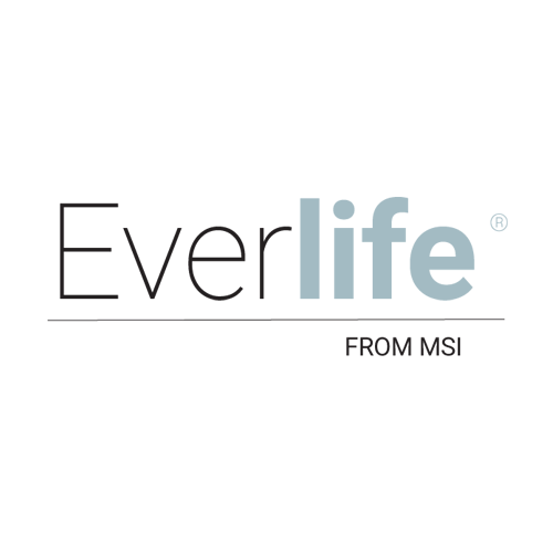 Everlife logo in black and light blue with “FROM MSI” beneath it