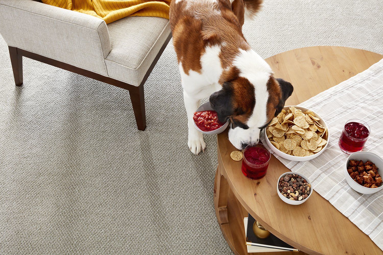 Carpet Interiors Floor and Home