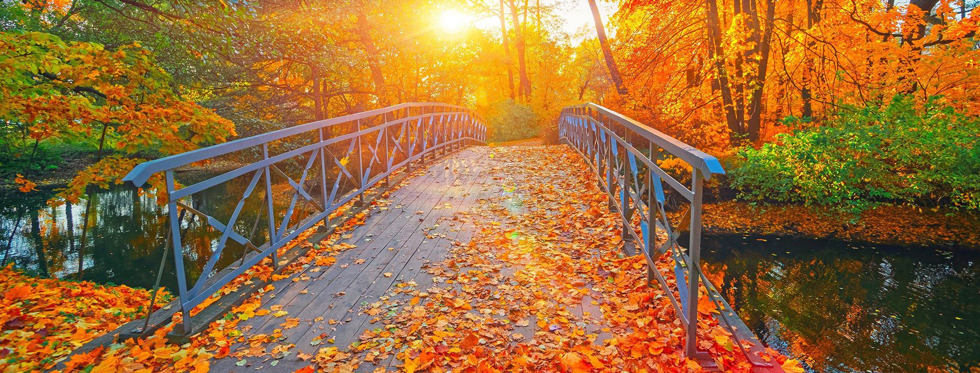 Auclair Funeral Home and Cremation Service Fall River, MA