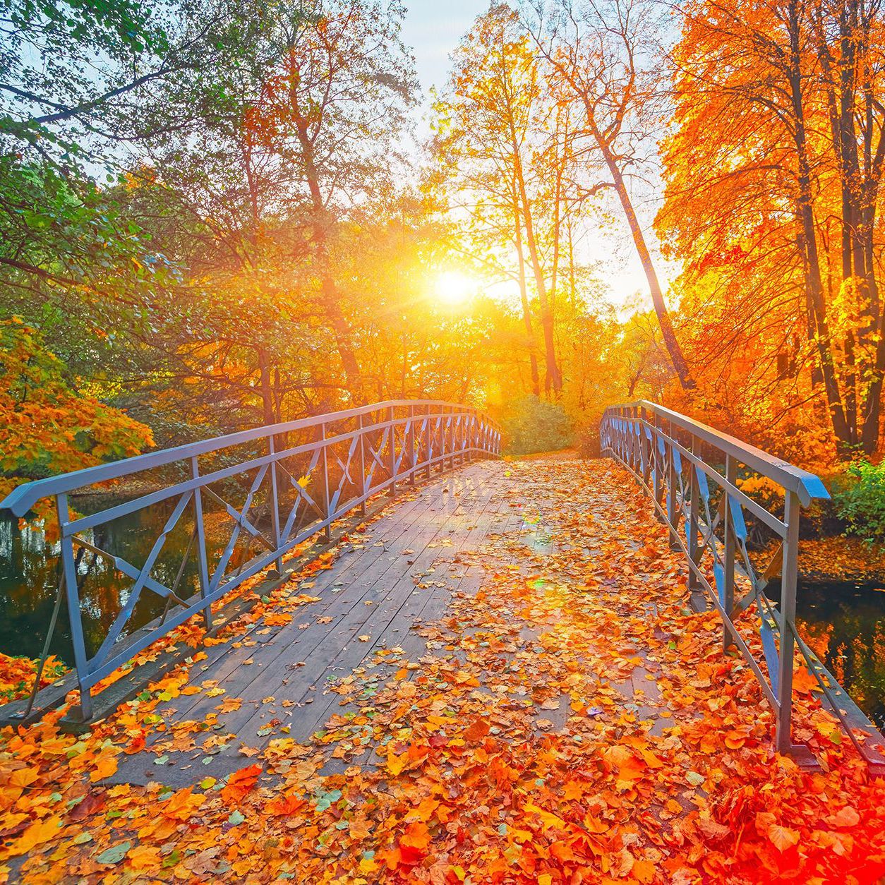 Auclair Funeral Home and Cremation Service Fall River, MA