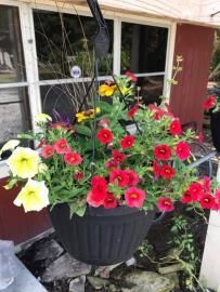Black planter with red, yellow, and white flowers on a porch by a window