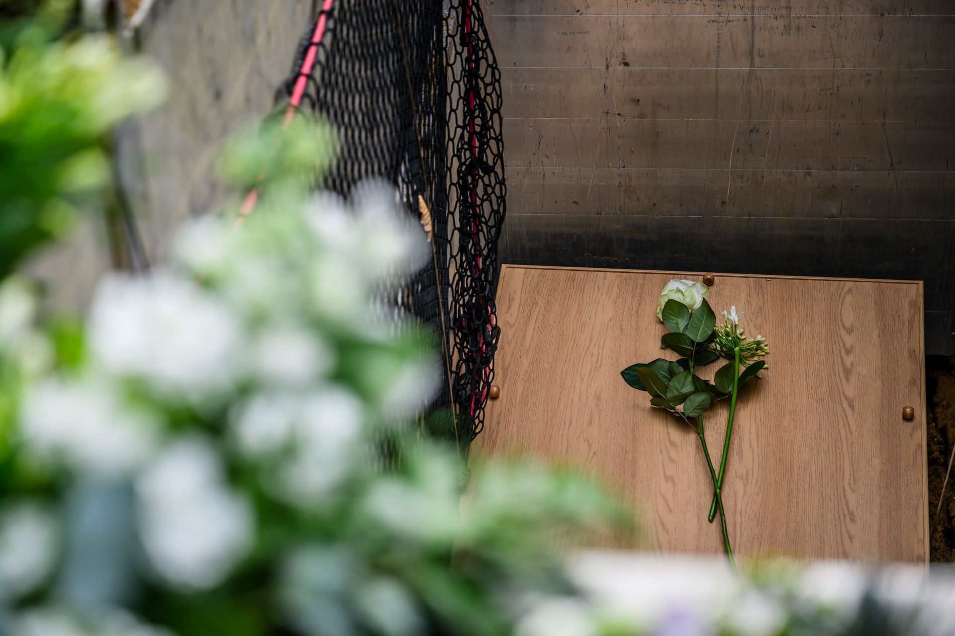 Een enkele witte bloem rust op een lichtgekleurd houten oppervlak, omlijst door wazige witte bloemen op de voorgrond.