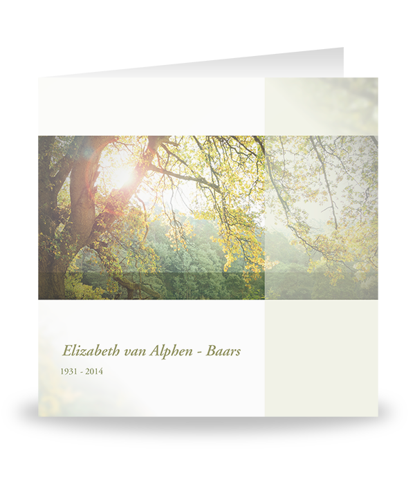 Een rouwprogramma met een afbeelding van een boom in de zon en de naam Elizabeth van Alphen-Baars, met de data 1931-2014.