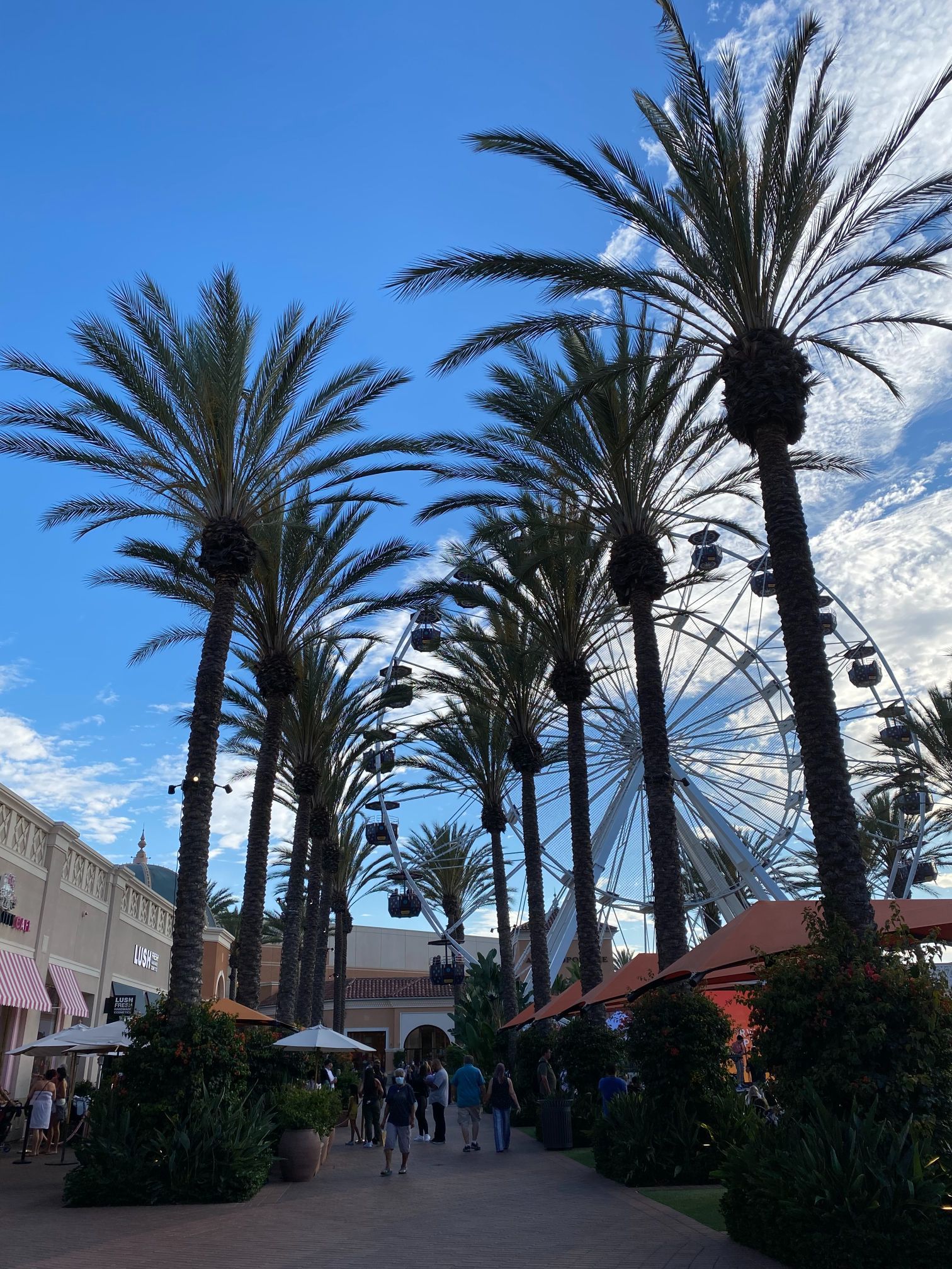 An image of the Mission Inn Hotel & Spa, one of the premiere destinations in Riverside County.