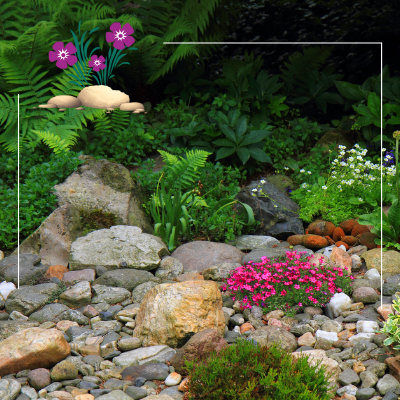 a rock garden with pink flowers and ferns