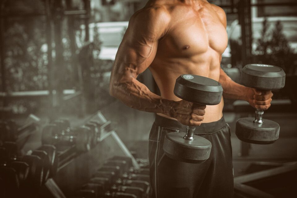A shirtless man is holding two dumbbells in a gym.
