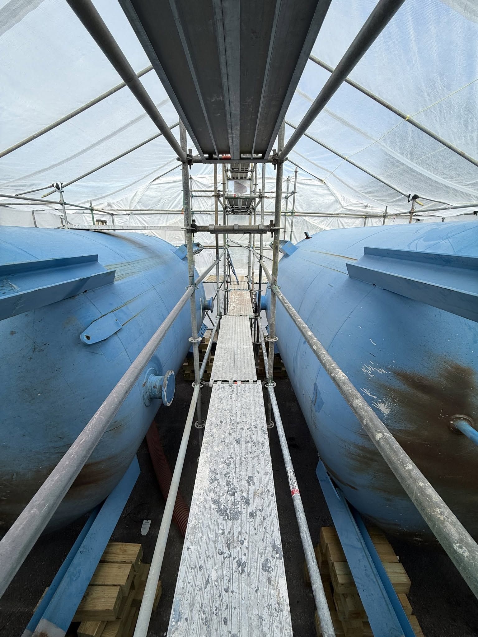 Inside a greenhouse, blue cylindrical tanks line a narrow gravel walkway under a metal frame.