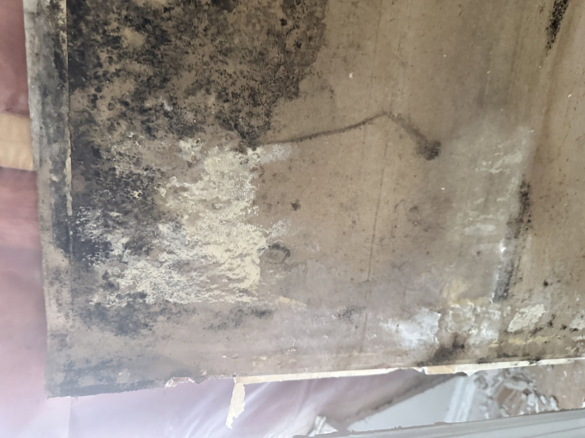 Close-up of a stained, weathered concrete wall with dark mold and peeling patches