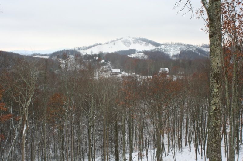Snowy forested valley with distant mountains and a few buildings under an overcast sky
