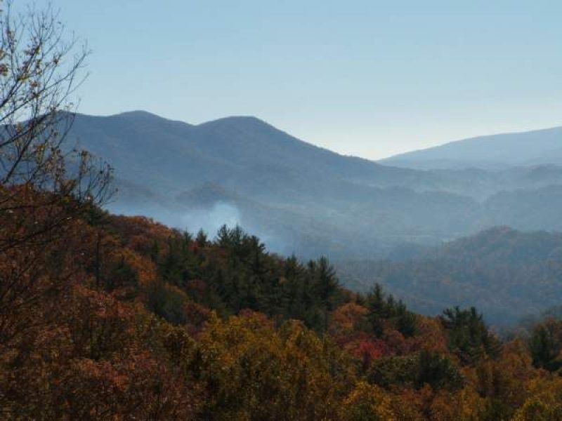 Mountain landscape with layered blue ridges and autumn-colored trees under a clear sky