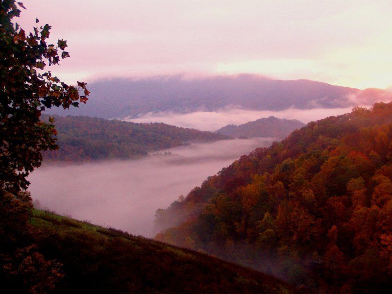 Misty mountain valley at dawn with autumn-colored hills and a pink sky