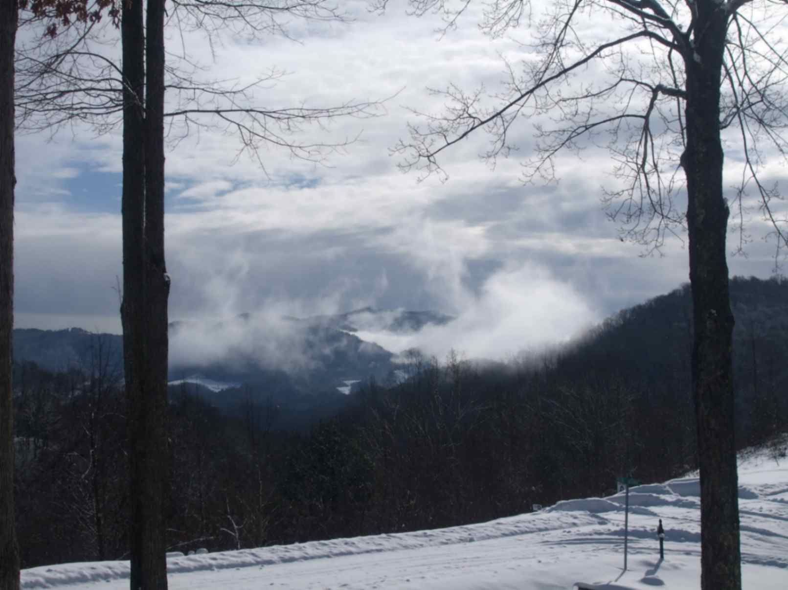 Snowy mountain valley with misty clouds and bare trees in the foreground