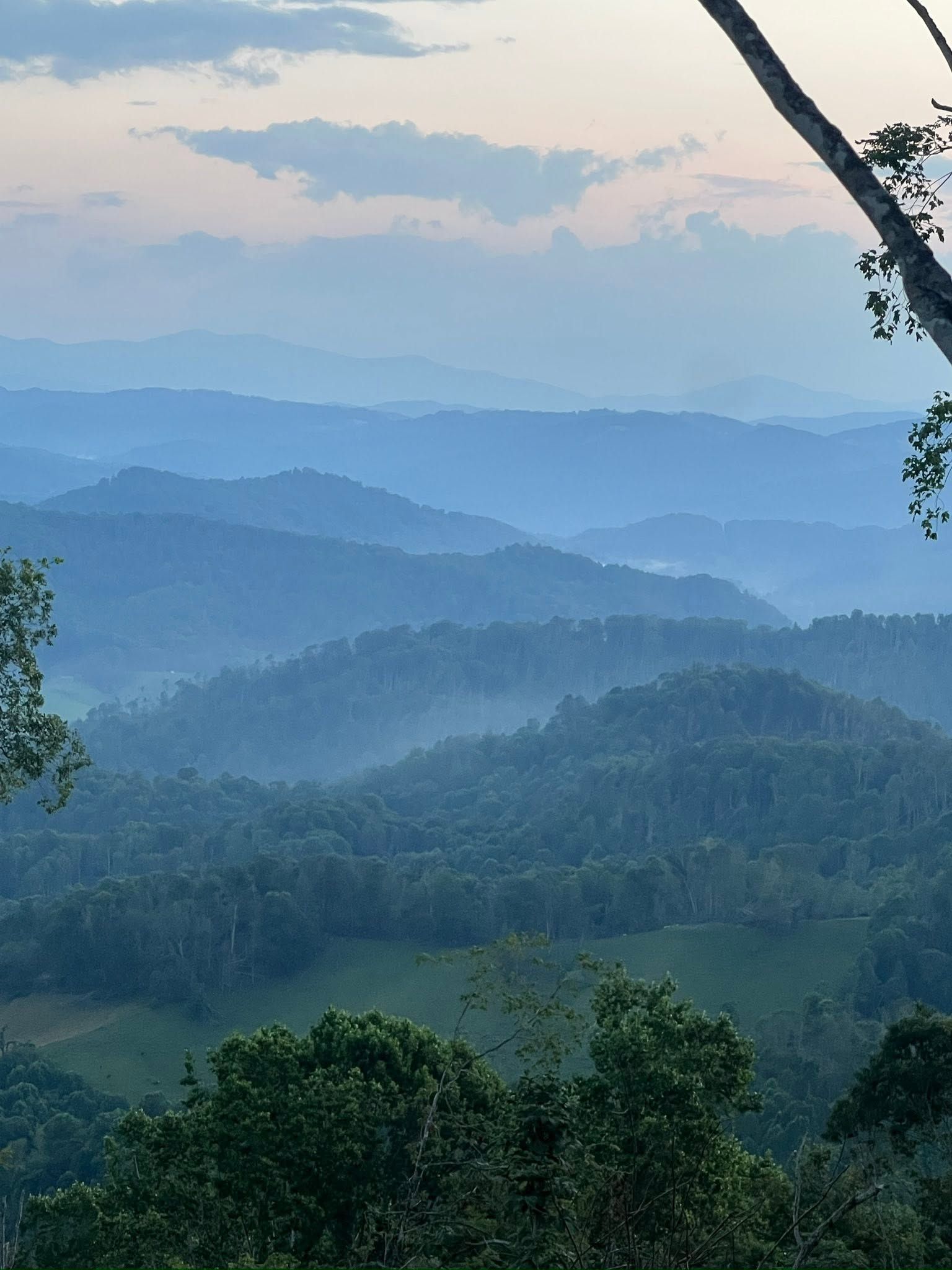 Blue misty mountain ridges under a soft pastel sky, with green forested hills in the foreground