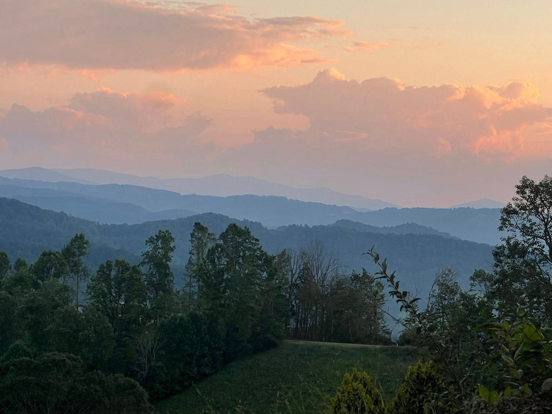 Pastel sunrise over layered blue mountains and a green forested hillside