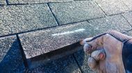 Gloved hand lifts asphalt shingle on a roof, revealing a white powder, potentially damage from hail or wear.