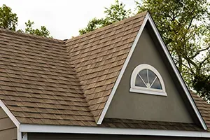 Brown shingled roof with a dormer, featuring an arched window with white trim, against a tree backdrop.