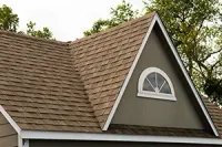 Brown shingled roof with a dormer, featuring an arched window with white trim, against a tree backdrop.