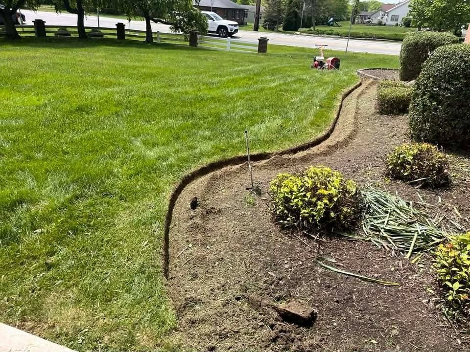 Curved garden bed edging a green lawn, with shrubs and mulch in a suburban yard.