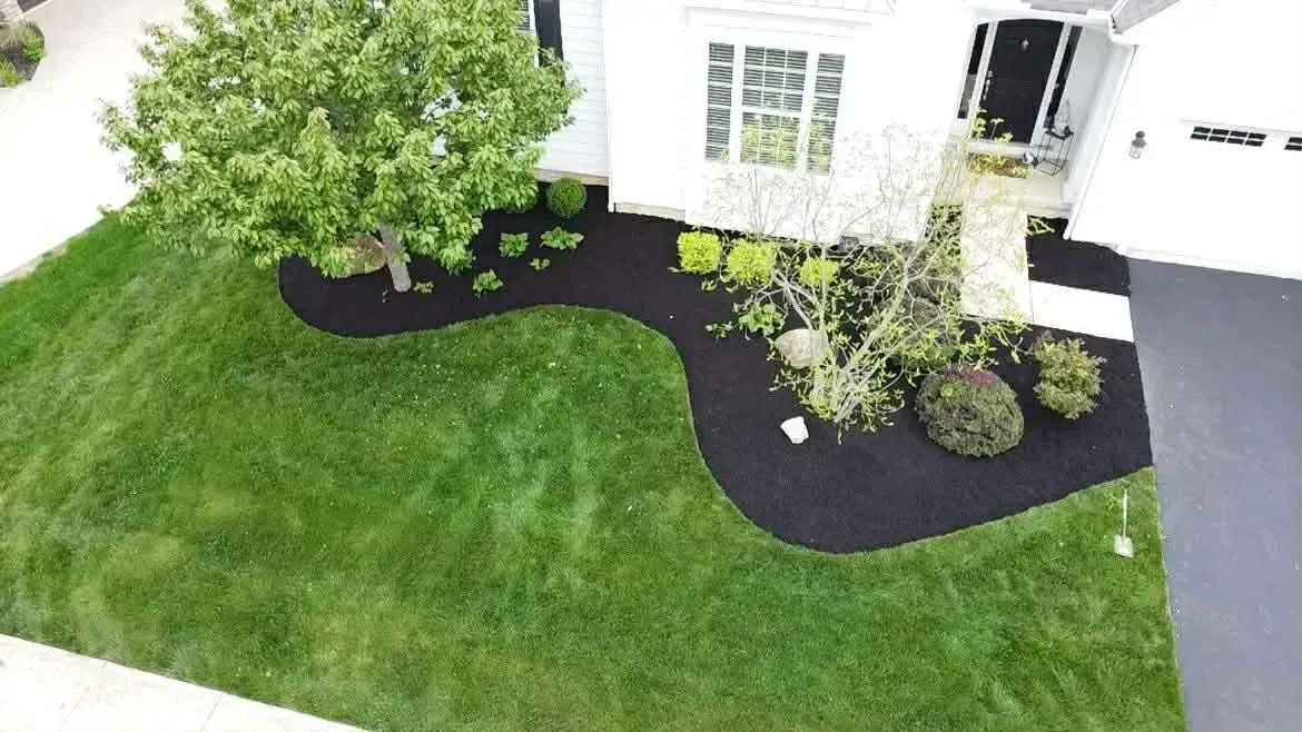 Front yard with green lawn, black mulch beds, and shrubs beside a white house