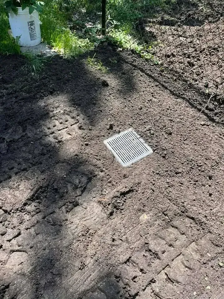 Rectangular drain grate set in a dirt path with dappled sunlight and surrounding greenery