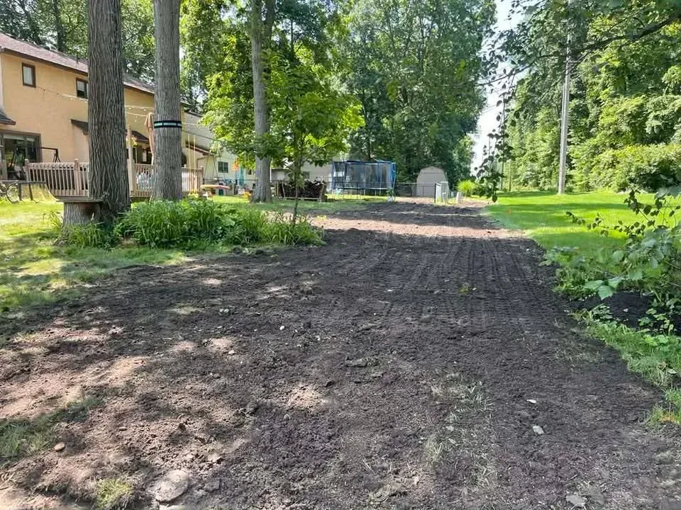 Dirt path through a green park beside houses and trees on a sunny day