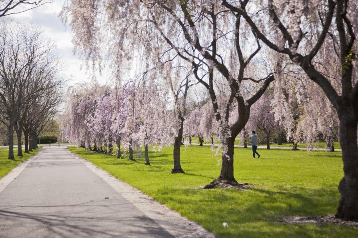 Fairmount Green Spaces