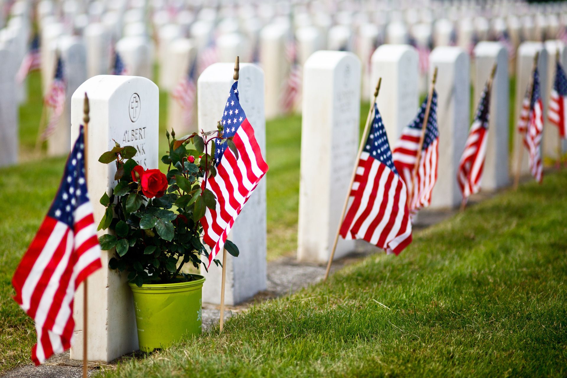 Rows of white headstones in a military cemetery, each marked with a small American flag and one with a red rose bush.