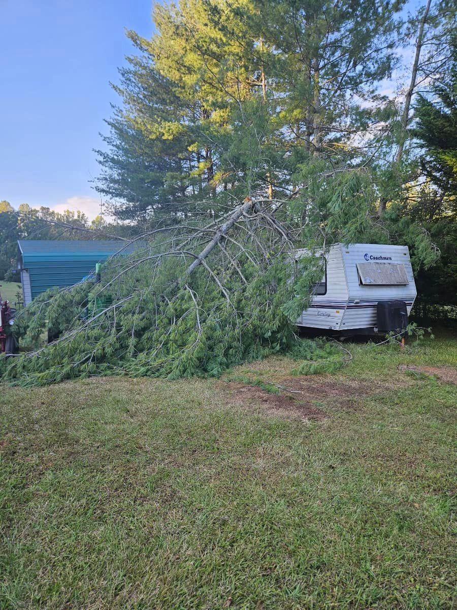 A rv is parked in the grass next to a tree that has fallen on it.