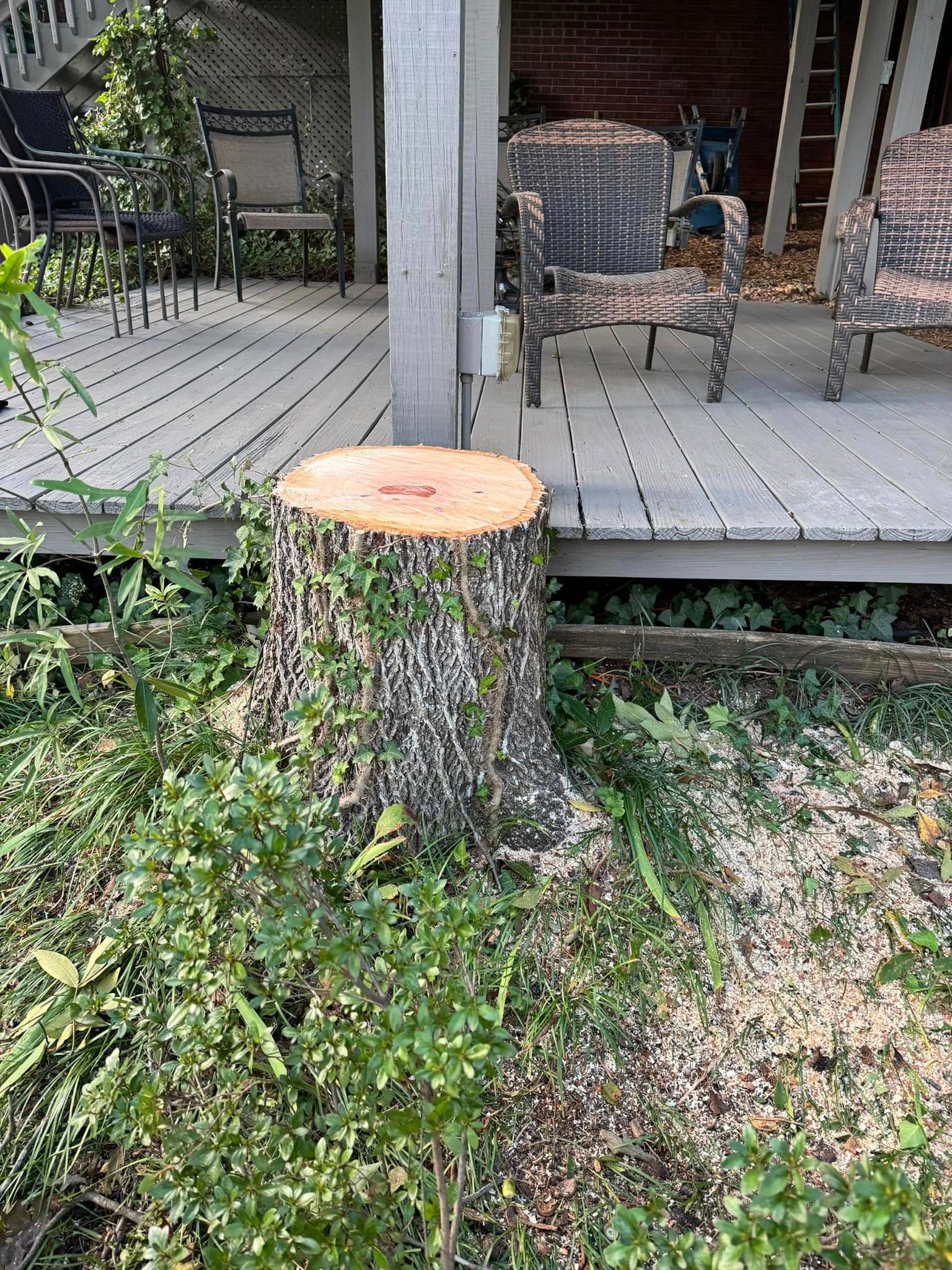 A tree stump is sitting on the ground in front of a deck.